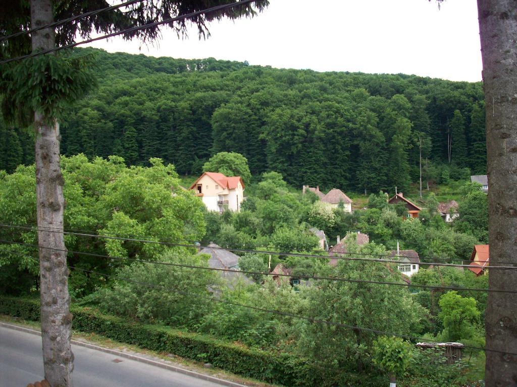 Cabana Bavaria Sovata Exteriér fotografie